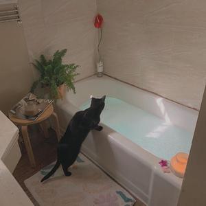 久久亚洲AV无码精品偷窥
