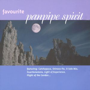 久久亚洲AV无码精品偷窥
