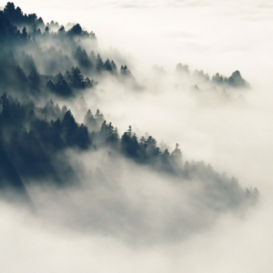 久久亚洲AV无码精品偷窥
